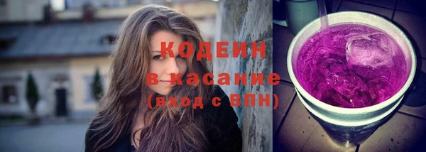 молекула духа Елабуга