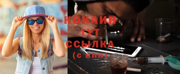 spice Ельня