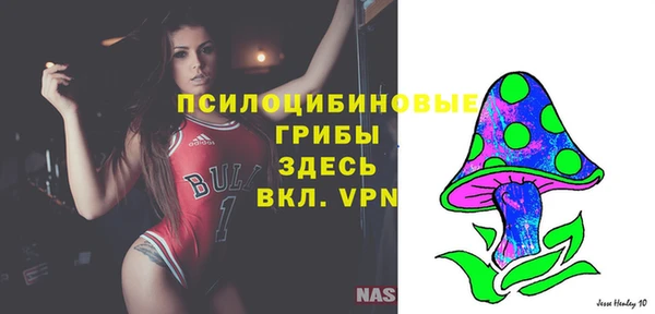 молекула духа Елабуга