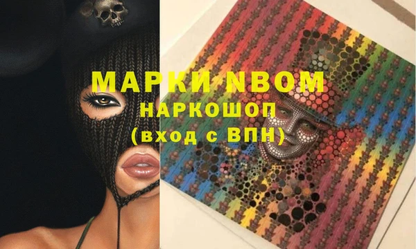 молекула духа Елабуга