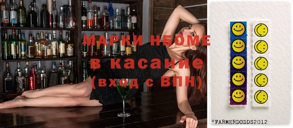 молекула духа Елабуга