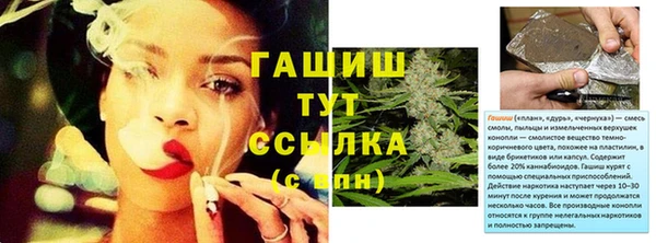 молекула духа Елабуга