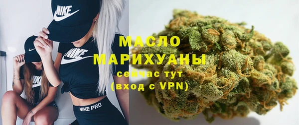 молекула духа Елабуга