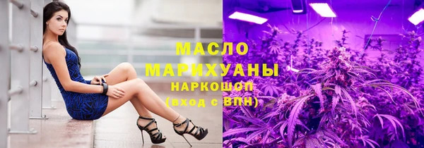 молекула духа Елабуга