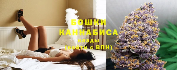молекула духа Елабуга