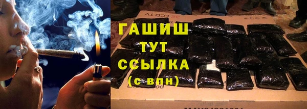 spice Ельня