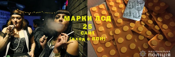 молекула духа Елабуга