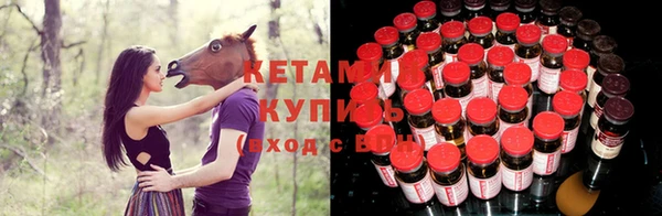 spice Ельня
