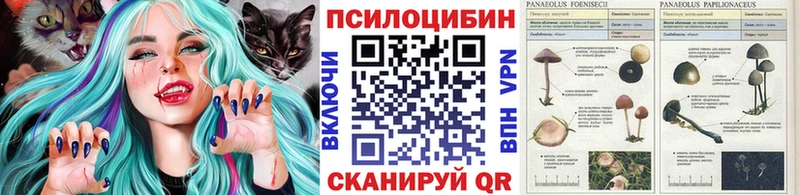 hydra ONION  Кызыл  Псилоцибиновые грибы MAGIC MUSHROOMS 